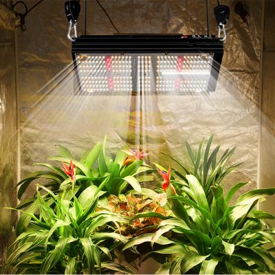 China Indoor hydroponic dimmable 100w 110w 120w cool white UV spectrum independent switches 3000k 5000k IR led grow light lm301b diodes for 2x2 tent for sale