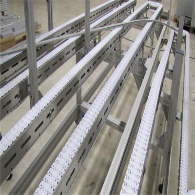 China 2020 Customized Conveyor Flexible Chain conveyor straight chain conveyor for sale