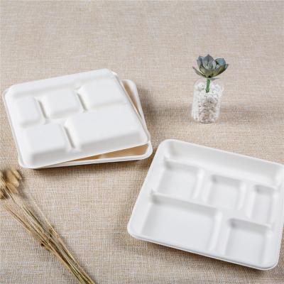 China Eco Friendly 6 Compartments Lunch Box Bagasse Sugarcane Disposable Dish Eco - Friendly for sale