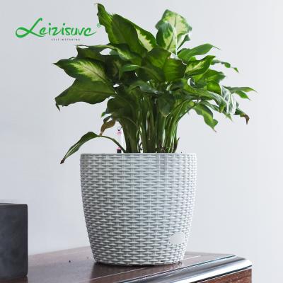 China Leizisure Modern Wholesales Best Prices Simple Home Indoor Decorate Table Rattan Flower Pots for sale