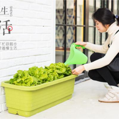 China 2021 Style Modern Indoor Flower Pot Garden Self Watering Plant Plastic Pot Large Rectangle Size For Vegetable Herbs Strawberry for sale