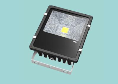 China 110 Lumen Color Changing COB LED Flood Light 50w Outdoor High Efficiency for sale