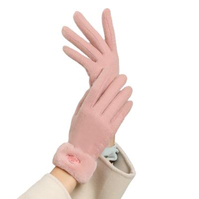 China High Quality Durable Warm Wearing Various Outdoor Cashmere Winter Household Custom Gloves for sale