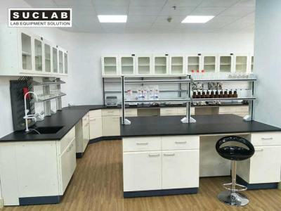 China Chemistry Lab Bench With Off White Wall Cabinet For Testing Center Usage for sale