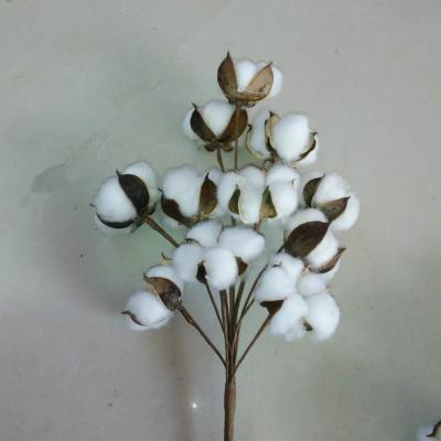 China Wholesale High Quality Home Single Stem Cotton Flower Stems For Home Decoration for sale