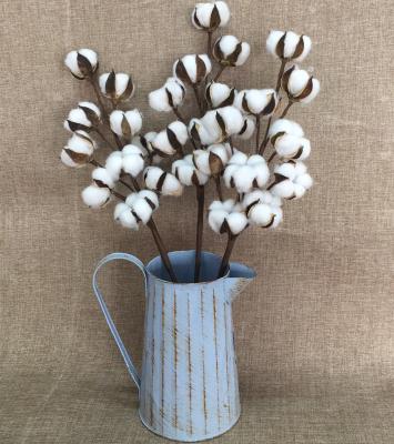 China Natural Home Spring Cotton Flower Stem Dried Flower with Twigs for Outdoor Decor for sale