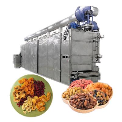 China High Efficiency Easy Operate Fruit Dryer For Food Dehydrating Tomato Drying Production Line for sale