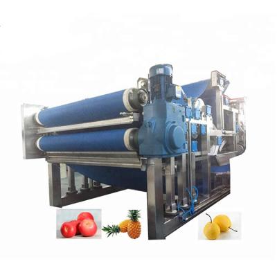 China Food industry Apple, pear, pineapple, purple potato and other fruit and vegetable crusher for sale