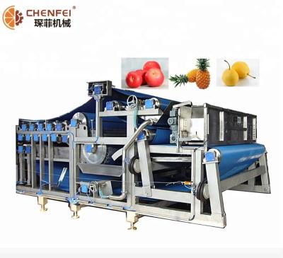 China Factory NFC Nature Fresh Juice Fruit Juicer Production Line Juicer Production Line for sale