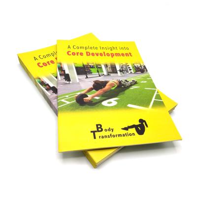 China Cheap Eco Friendly China Custom Design Instruction Manual / Product Brochure / Advertisement Flyer Printing for sale