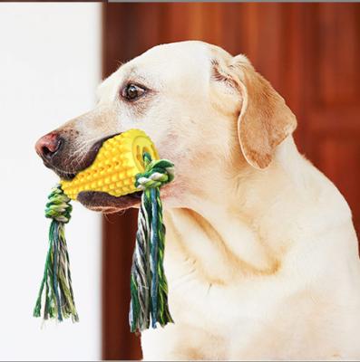 China Hot Selling Stocked Rabbit Corn Molar/Chew Grinding Bite-Resistant Toy With Rope Dog Toys Stick Toothbrush Dog for sale