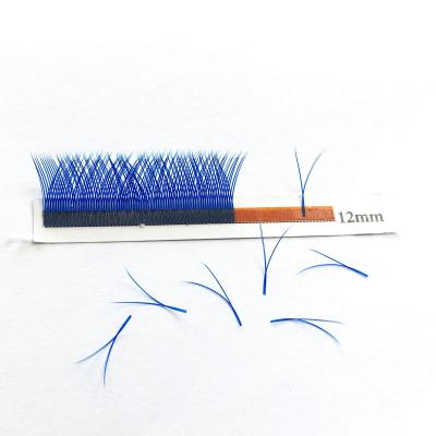 China Custom blue purple private label yy eyelash extension colorful color environmental material for sale