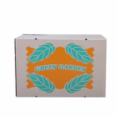 China Recyclable High Quality 12 Pack Compartment Beverage And Beverage Packaging Cardboard Custom Box for sale