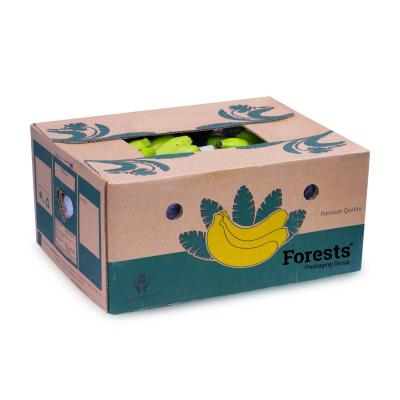 China Handmade Custom Corrugated Shipping Cardboard Ads Paper Banana Cardboard Box for sale