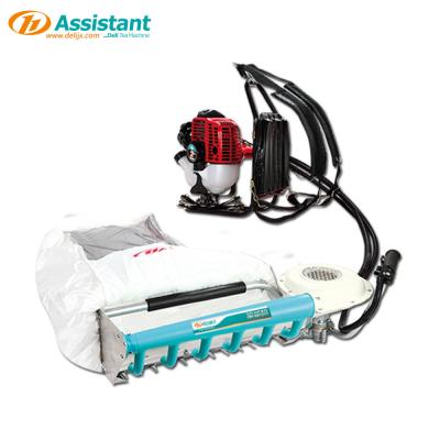 China Portable Custom Hand 24v Brushed Electric Tea Mini Tea Leaf Picking Machine DL-4C-A for sale