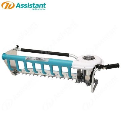 China Plucking Gasoline Engine Drive Tea Harvester Machine DL-4C-S Mini Collection for sale