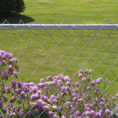 China Easily Assembled High Quality Wire Mesh Chain Link Fence for sale