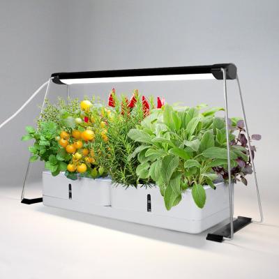 China Succulents Growing J&C Minigarden Hydroponic Indoor Gardening Growth Led Plants Seed Nursery Grow Light Home Herb Garden for sale