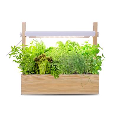 China J&C Decorative Minigarden Fawnel - Home Decoration Home Plant Grass Grow Smart Garden Indoor Hydroponic Garden for sale