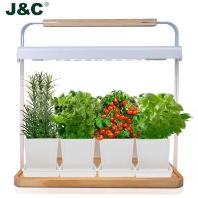 China J&C Decorative Minigarden Personalized Wooden Mini Herb Garden Kit Smart Smart Garden With Led Grows Light for sale