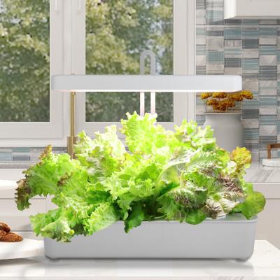 China J&C hydroponic most popular mini indoor herb garden potted plant window sill garden herb garden floor for sale