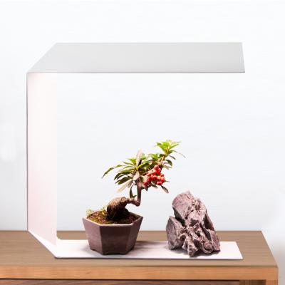 China Recyclable J&C Led Plant Light Indoor Gardening Equipment High Quality Smart Garden With Led Auto Timer for sale