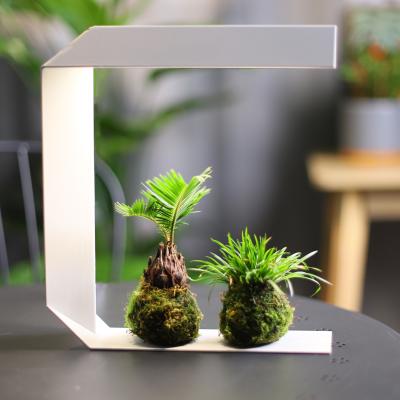 China J&C indoor plant recyclable light led grow gardyn indoor smart system growing lights indoor white for sale