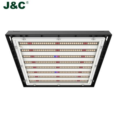 China Seed Starting J&C LED Horticulture Lighting Indoor Plants Easy To Grow Lighting 2022 Indoor Garden With Light for sale