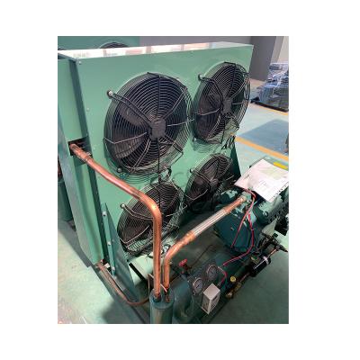 China The NUMBER ONE Hotels Refrigeration System Condensing Unit With YOYCOOL Customized Voltage for sale