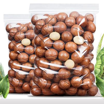 China Dry Creamy Original Unshelled Roasted Fresh Australian Hazelnuts for sale