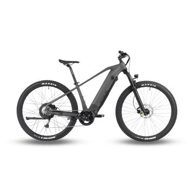 China Aluminum Alloy Motorlife E Bike Electric Mountain Bike Snow Electric Bike For Adult for sale