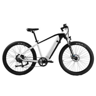 China 1000w Aluminum Alloy Fashion Aluminum Alloy Mountain Bike Super Electric Bike MTB Electric Bikes ebike for sale