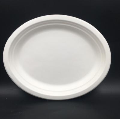 China Modern Biodegradable Tableware Custom Design Biodegradable Disposable Dish Dish Since for sale