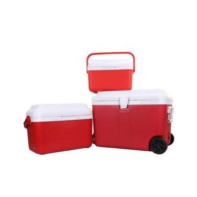 China China Supplier GINT Brand 8L Mini Picnic Waterproof Plastic Ice Cooler Box For Outdoor for sale