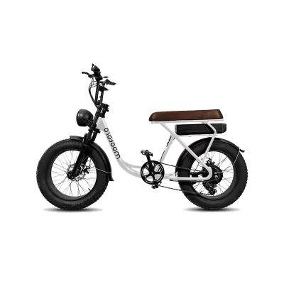 China 750W Aluminum Alloy Frame 10Ah Lithium Battery Fat Electric Bike 15 for sale