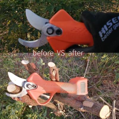 China Anti-skid Lithium-ion Battery Operated Pruners Handle Electric Garden Shears for sale