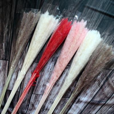 China Home decoration bouquets 2020 best quality free sample wholesale wedding bridal flower arrangement dried pampas grass for sale