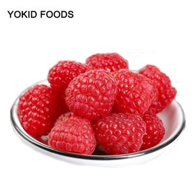 China Wholesale iqf frozen raspberry FROZEN for sale