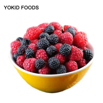 China Frozen FROZEN iqf mixed fruits for sale