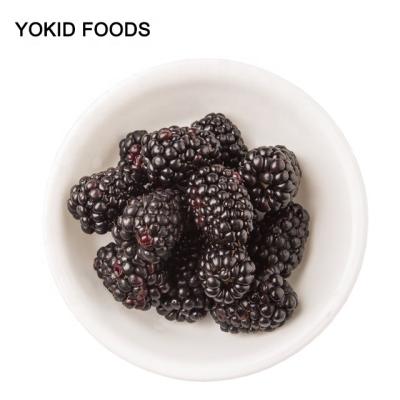 China IQF FROZEN Freezing Blackberry Fruit for sale