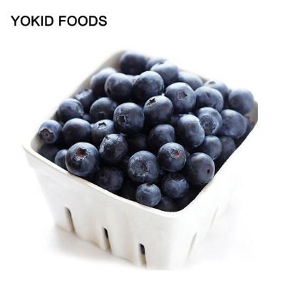 China FROZEN exports iqf frozen blueberry prices for sale