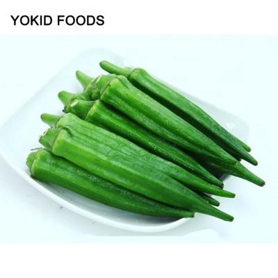 China Frozen iqf vegetable okra FROZEN for sale