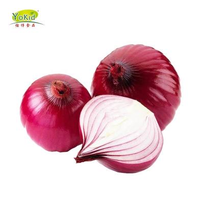 China Fresh Organic Fresh Red Onion Natural Natural Lower Price for sale