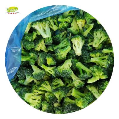 China Wholesale Chinese Frozen Price JELLY Broccoli for sale