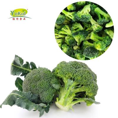 China IQF FROZEN Vegetables for Frozen Broccoli Florets Price for sale