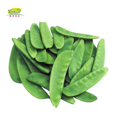 China Hot Selling Wholesale Names JELLY Green Jelly Green Pea Pods Vegetable for sale