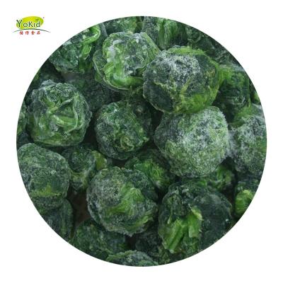 China FROZEN Foods IQF Green Wild Spinach Frozen Pellet Cubes in Tamil for sale