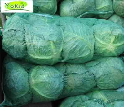 China 2016 Export Standard Fresh New Crop Fresh Common Cabbage for sale