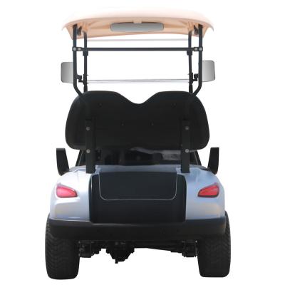 China Trustworthy China Design Electric Fully Enclosed Professional Golf Carts 2 Seats Electric Golf Cart Electric Cheap Golf Carts 215/35-12 for sale