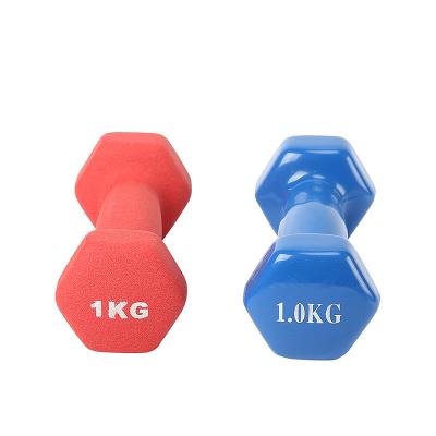 China Durable Gaion Strength Training Hex Indoor Dumbbells Equipment Portable Fitness Dumbbells for sale